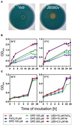 OmpR-Mediated Transcriptional Regulation and Function of Two Heme Receptor Proteins of Yersinia enterocolitica Bio-Serotype 2/O:9